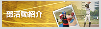 部活動紹介