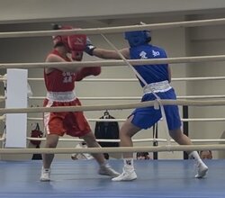IMG_8478.jpg
